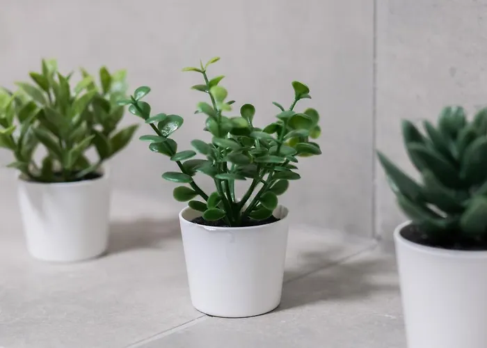 Apartamento With Garden Dmowskiego 81 By Renters *