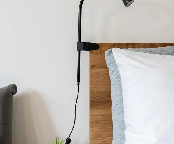 With Garden Dmowskiego 81 By Renters Apartamento *