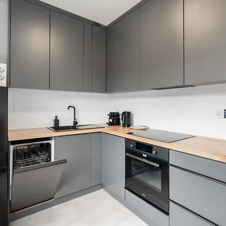 Apartament With Garden Dmowskiego 81 By Renters