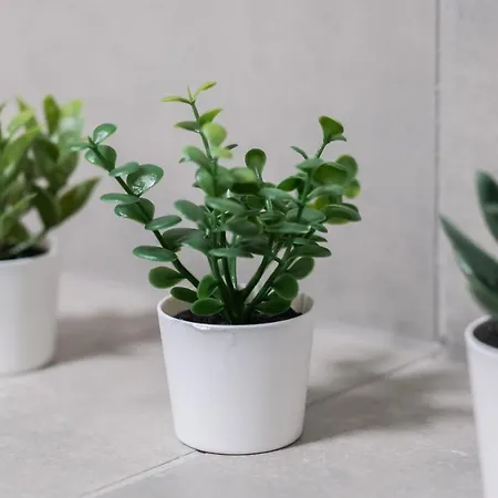 Apartment With Garden Dmowskiego 81 By Renters *